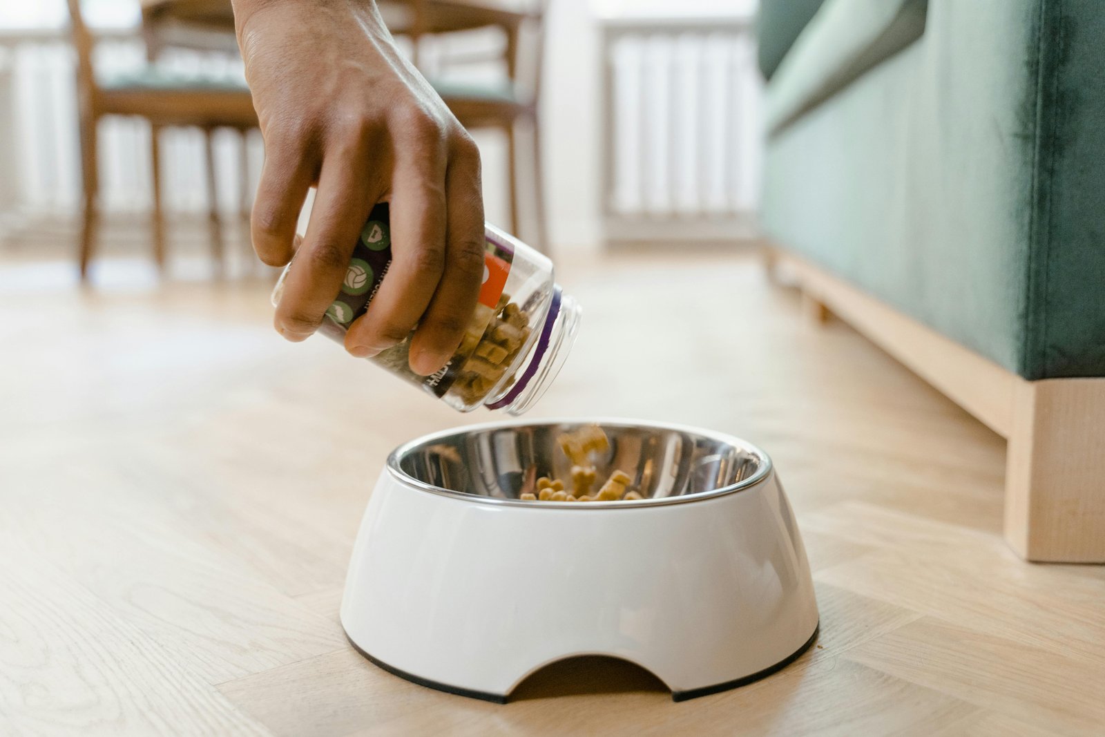 Wellness Drives Petcare Growth