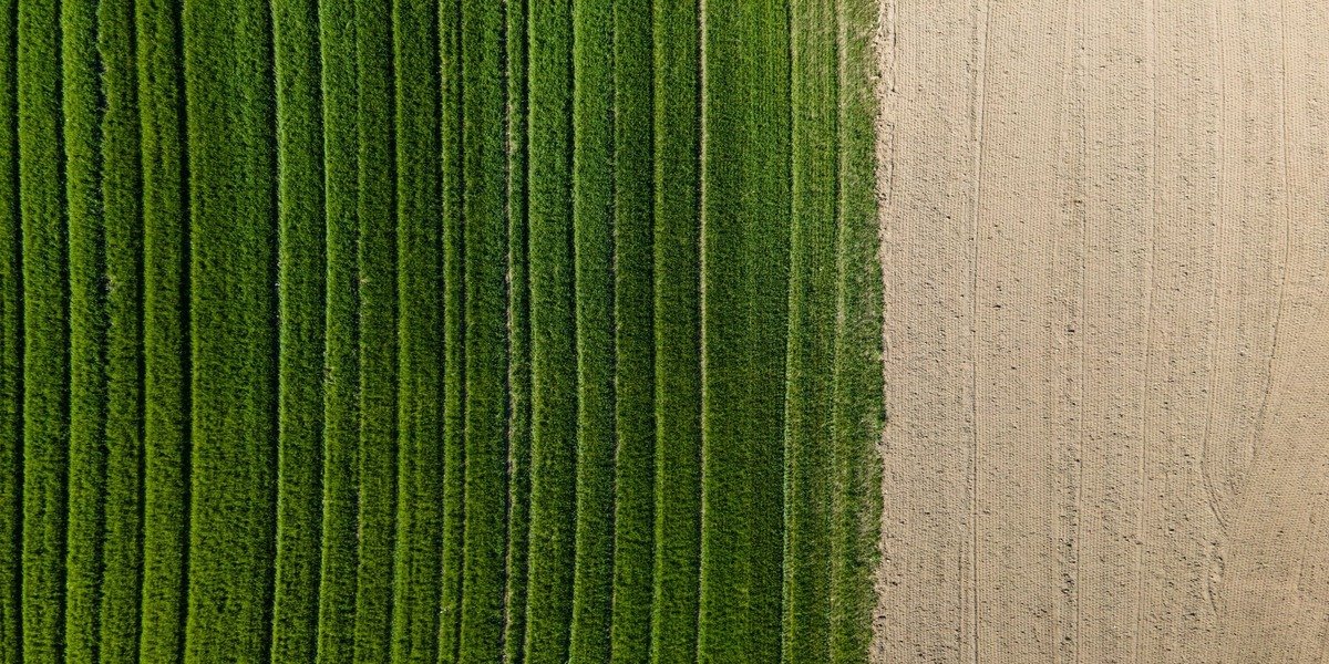 Artificial Intelligence Innovations In Agriculture
