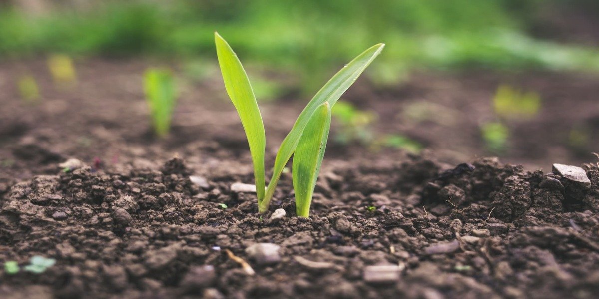 India Urea Market Outlook For Next 10 Years