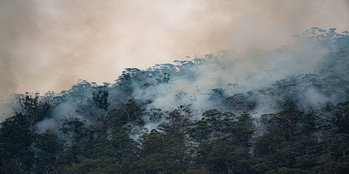 How Climate Change Is Reshaping Ag Investing