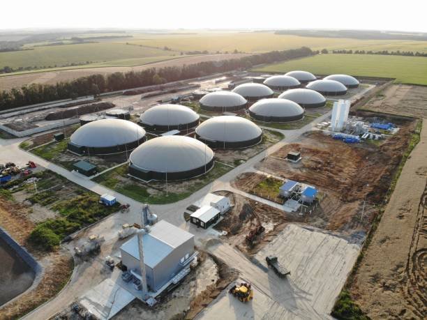 India's Bioenergy Sector: Market-Driven Growth