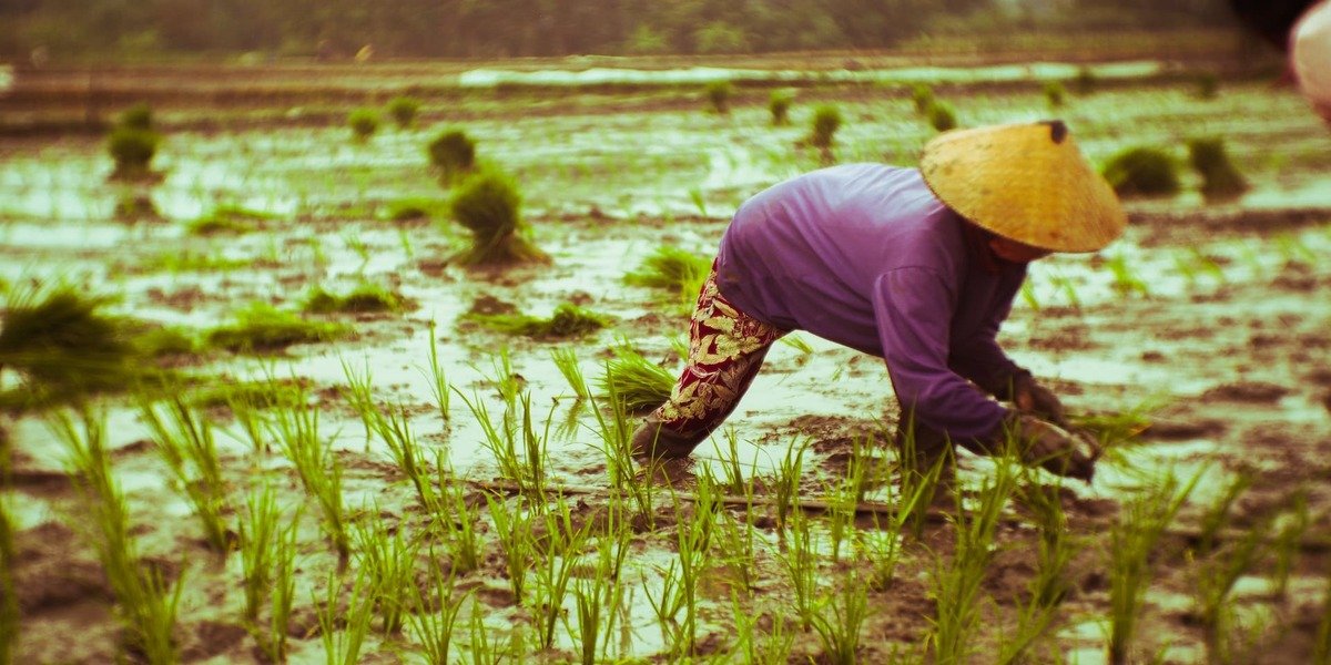 Climate Change And Business Sustainability