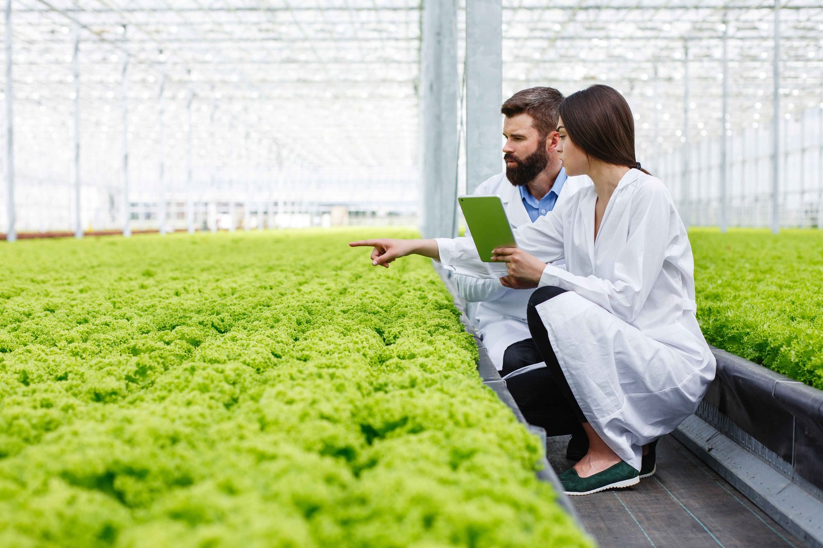 Regenerative Agriculture: Farming for the Future