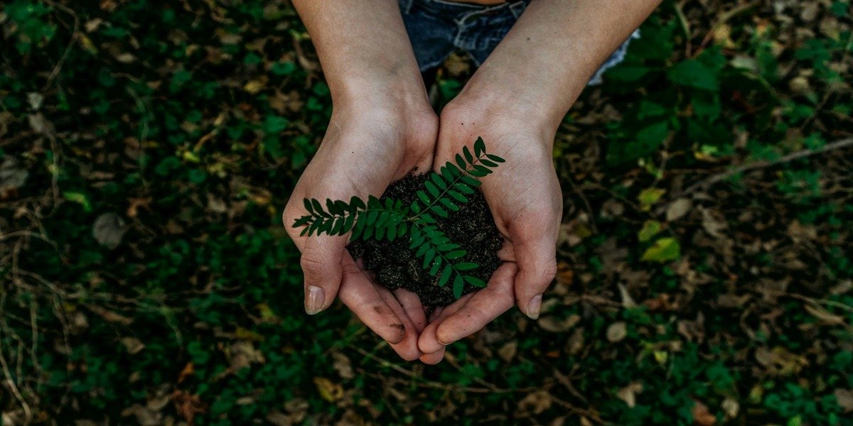 ESG and SDGs: Unlocking Business Value