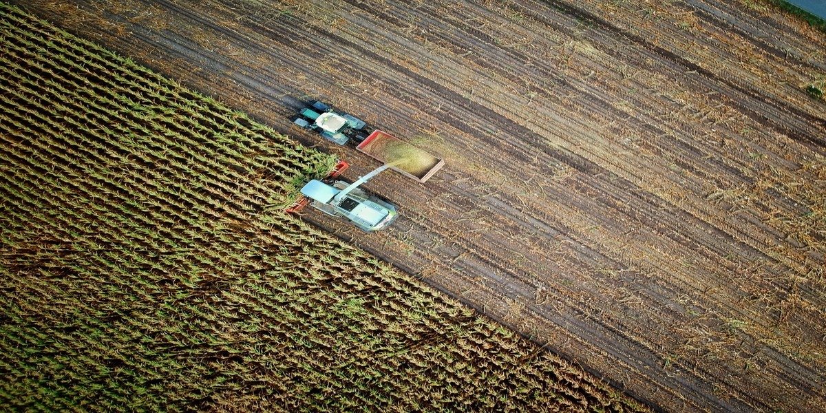 What is the Future of Agriculture?