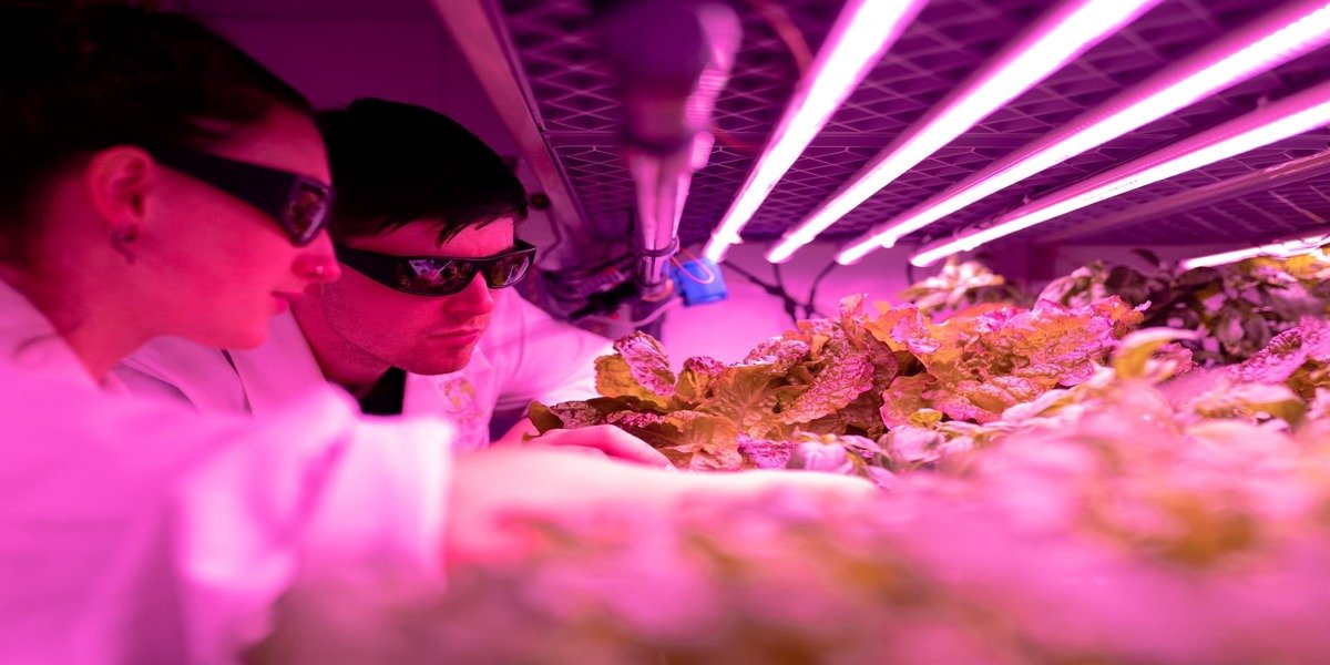 The Emergence Of Genetic Engineering In Agriculture