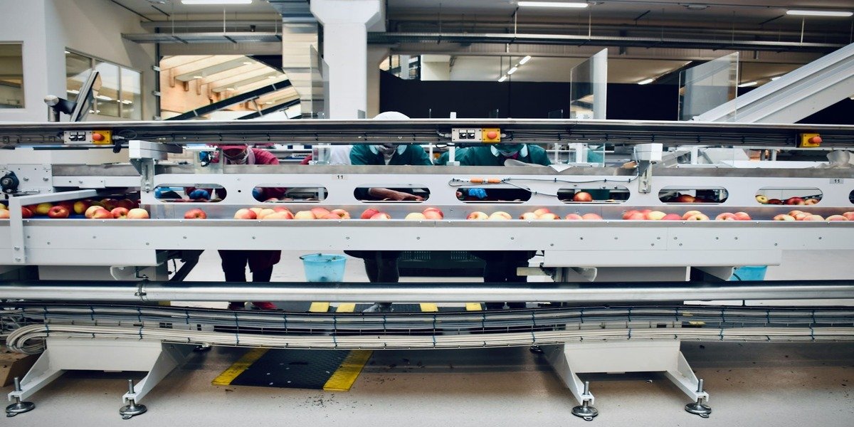 Spiral Conveyor Technology: Industry Gamechanger