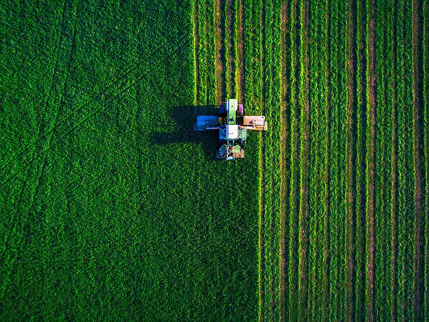 Transforming Agribusiness: Digital, Sustainable, Resilient