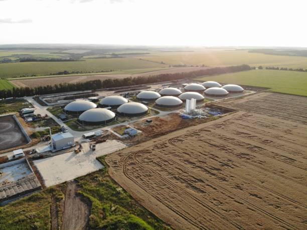 India’s Evolving Gas Distribution Sector