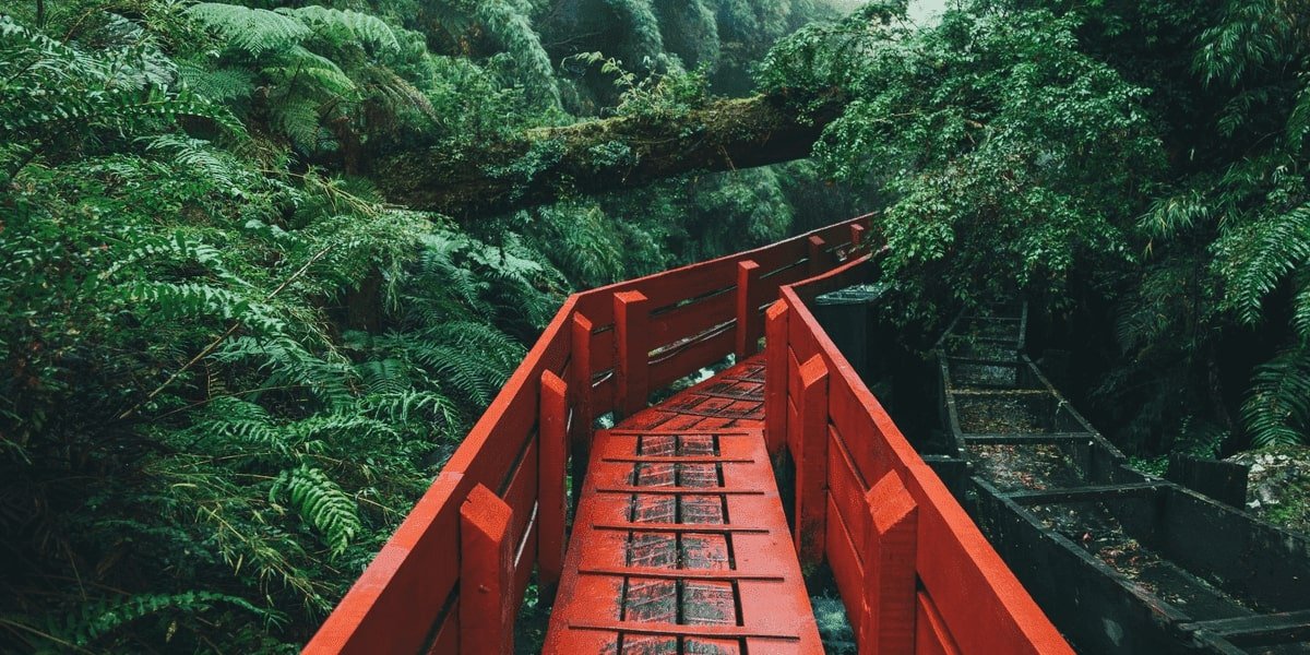 Chile's Forestry Ports -A Story Of Success