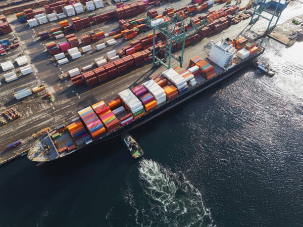 Logistics Trends & Digital Shifts