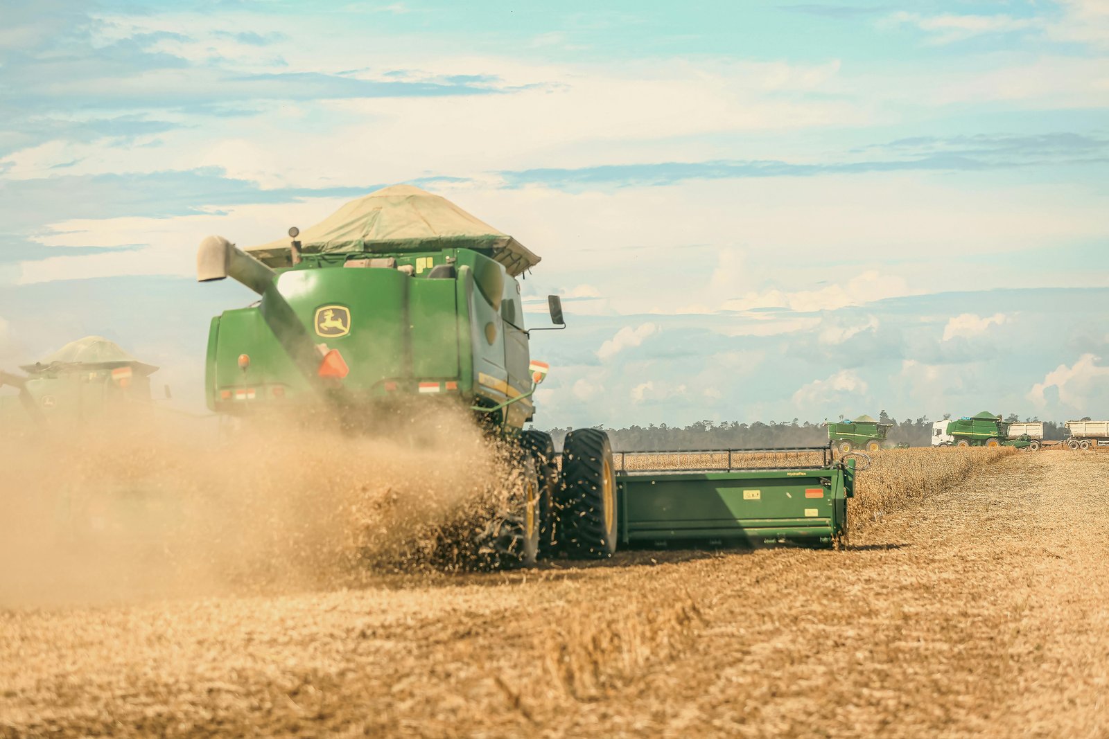 India’s Ethanol Feedstock Moment