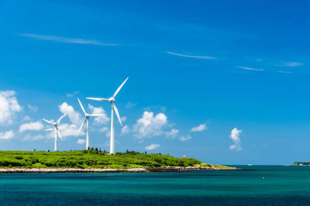 Decoding Renewable Energy Growth